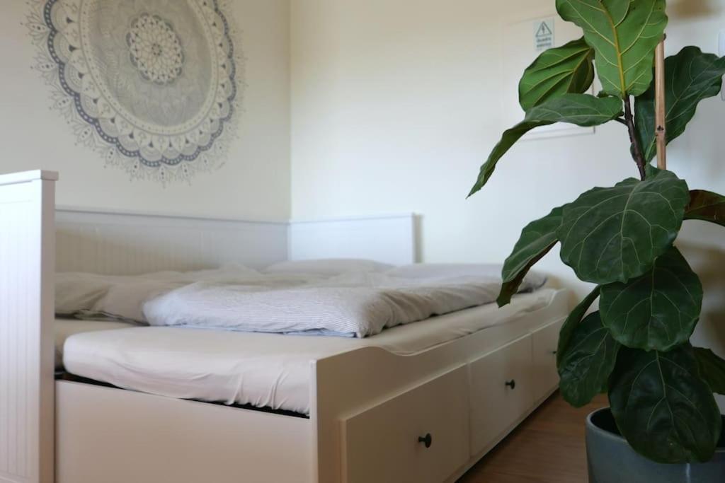 Panorama Apartment Sagres *Pool* Dış mekan fotoğraf