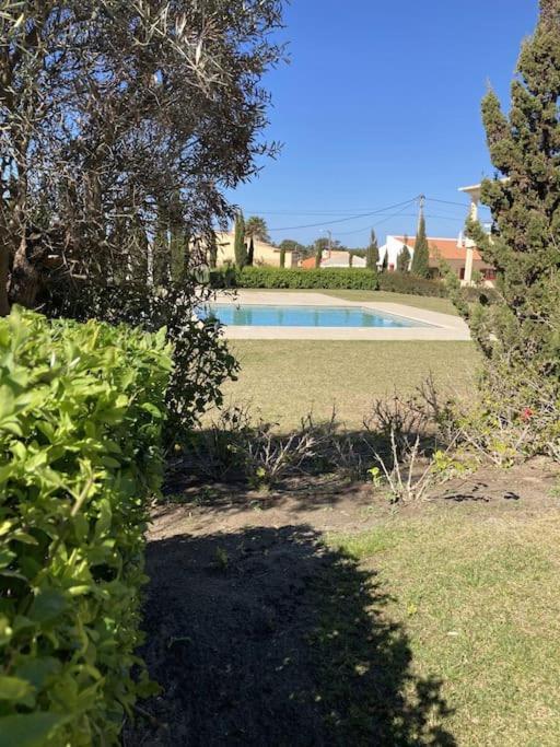 Panorama Apartment Sagres *Pool* Dış mekan fotoğraf