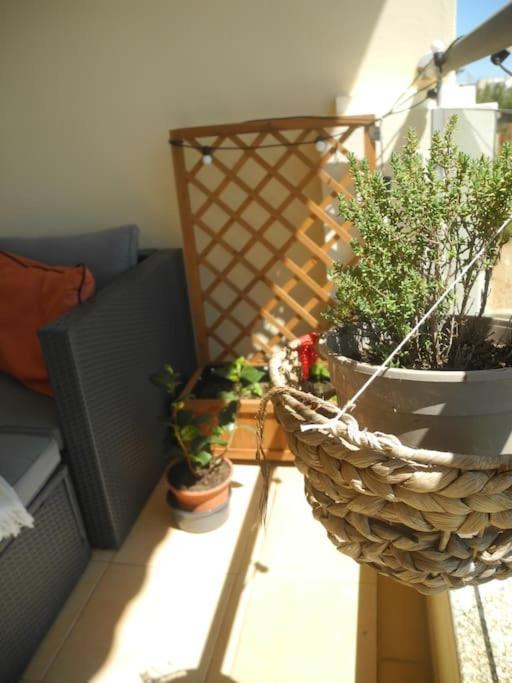 Panorama Apartment Sagres *Pool* Dış mekan fotoğraf